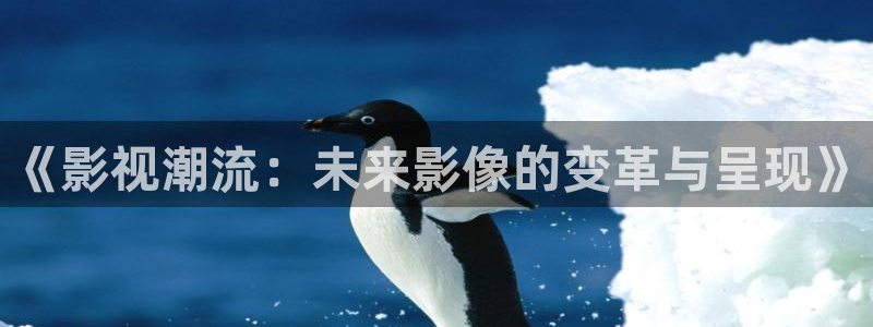 新泡泡影院：《影视潮流：未来影像的变革与呈现》