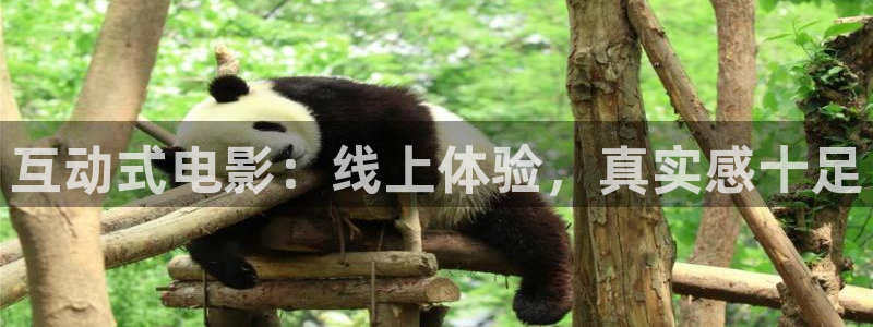 泡泡影视天堂影视