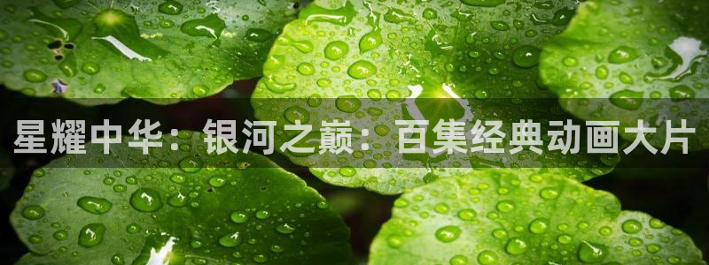 泡泡的视频