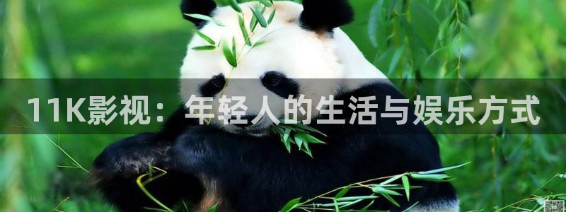 泡泡影视电影电视