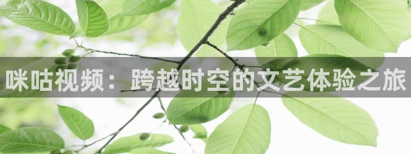 猪泡泡电影网