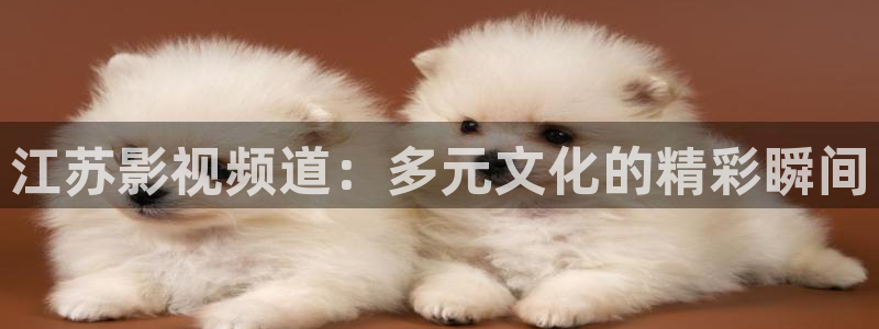 泡泡影院免费观看电视剧大全