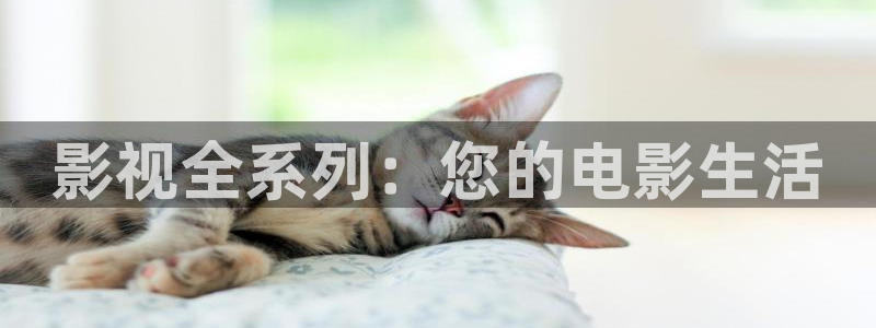 泡泡影视神马电影