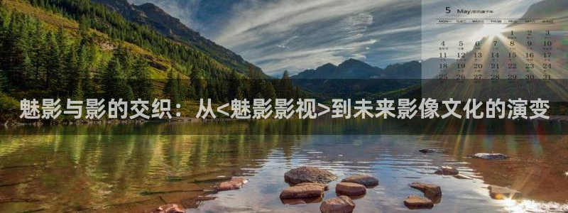 泡泡影视网站